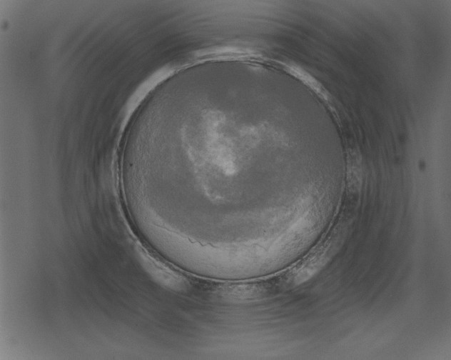 X0000078291474200611031219