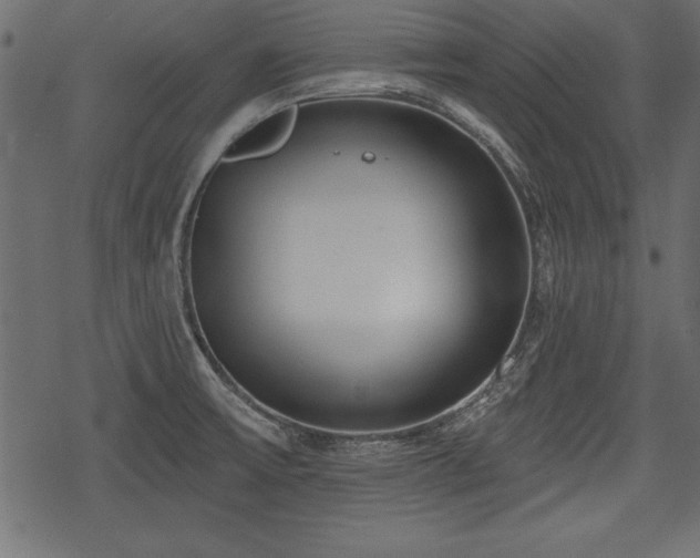 X0000078291475200611031219