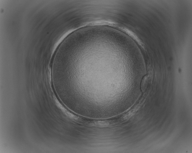 X0000078291476200611031219