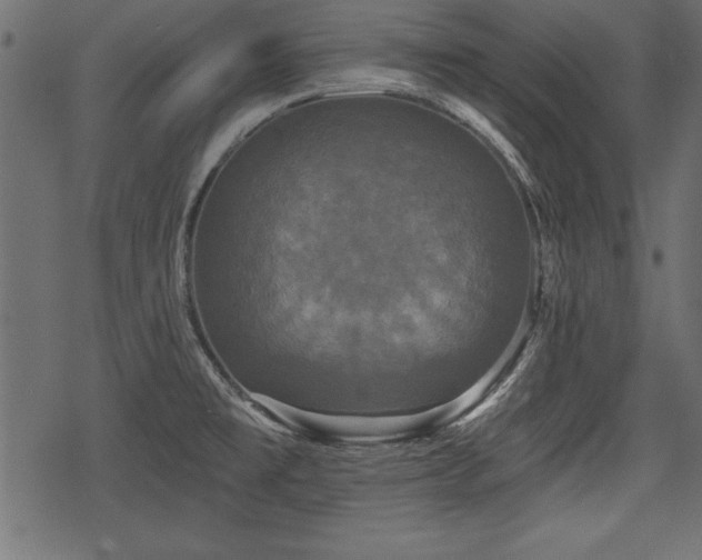 X0000078291477200611031219