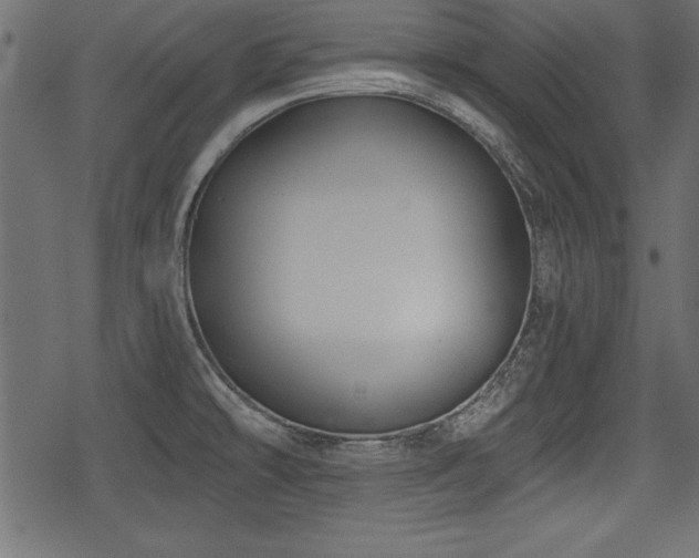 X0000078291478200611031219