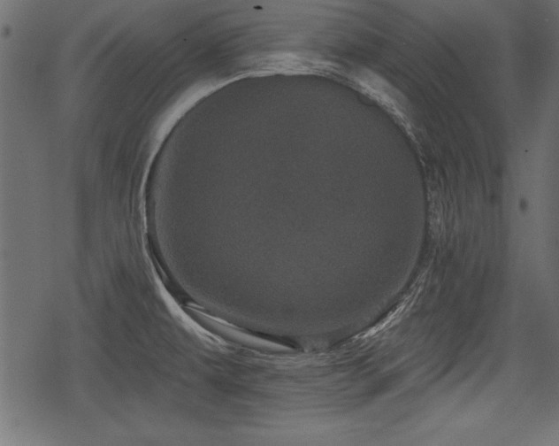 X0000078291479200611031219