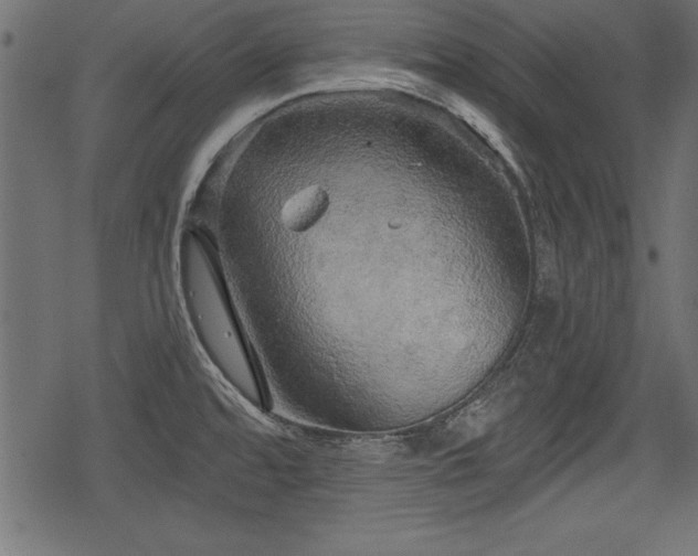 X0000078291480200611031219