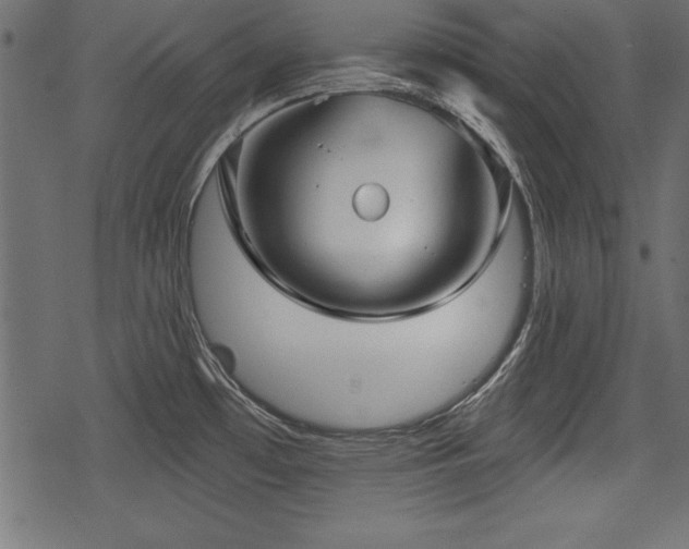 X0000078291481200611031219