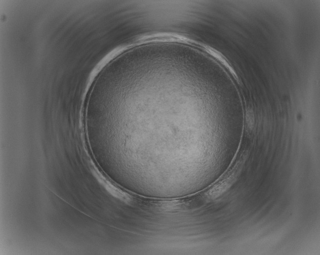 X0000078291482200611031219