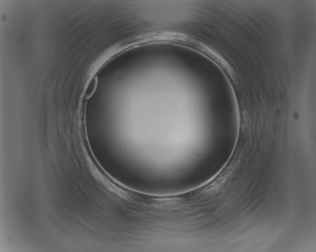 X0000078291483200611031219