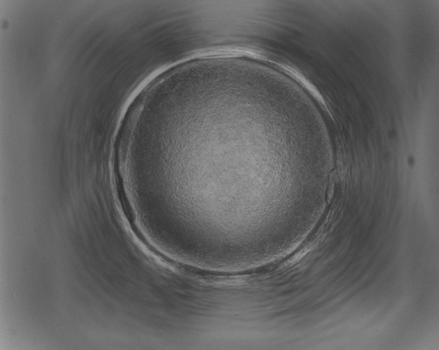 X0000078291484200611031219