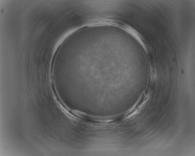 X0000078291485200611031219