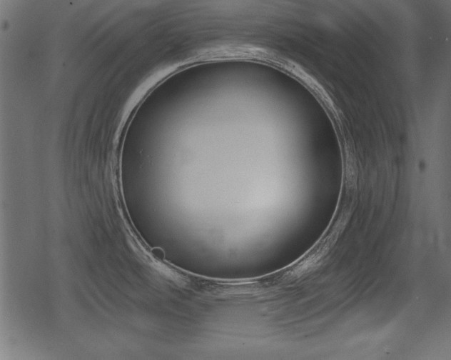 X0000078291486200611031219