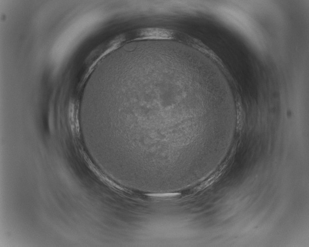 X0000078291487200611031219