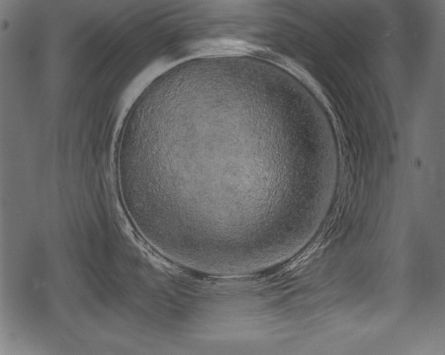 X0000078291488200611031219