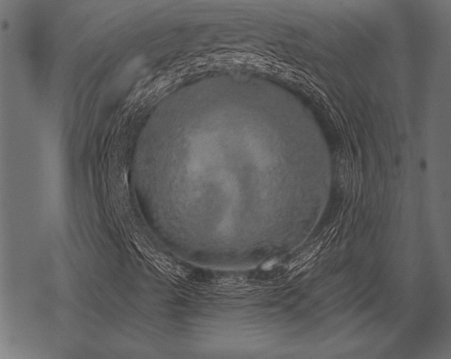 X0000078291489200611031218