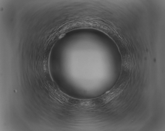 X0000078291490200611031218