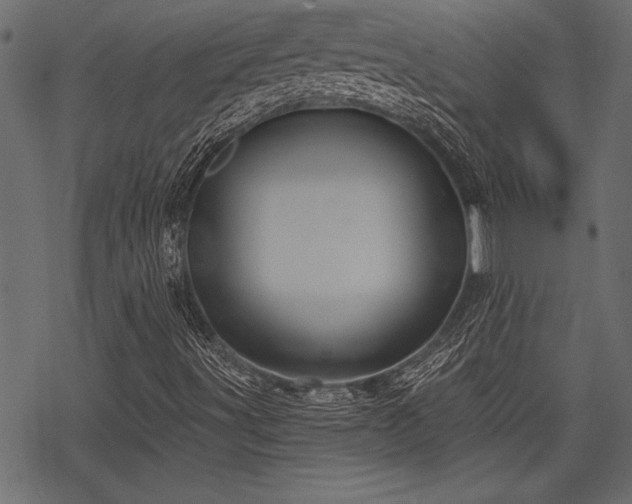 X0000078291491200611031218