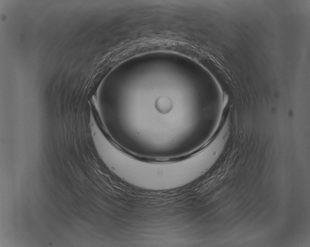 X0000078291492200611031218