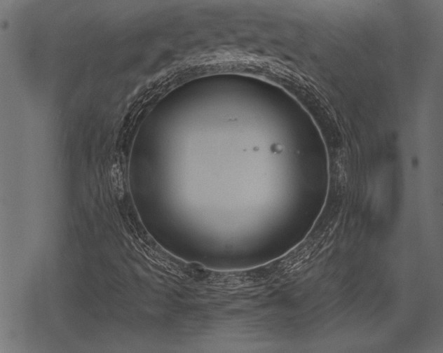 X0000078291493200611031218