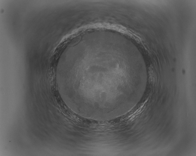 X0000078291494200611031218