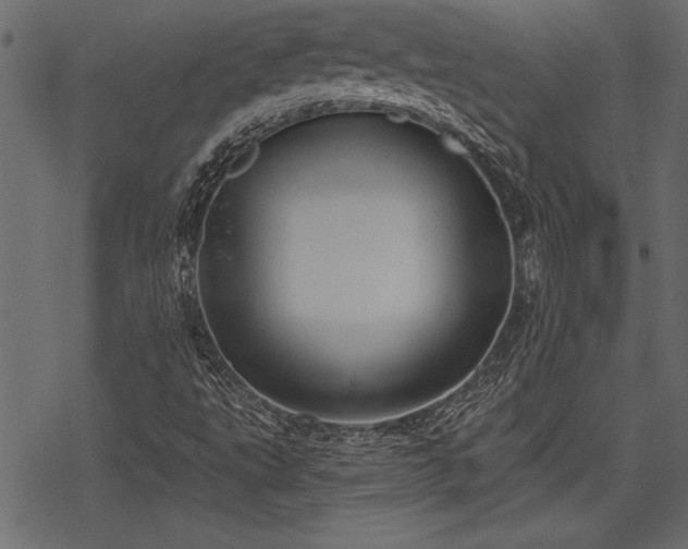 X0000078291495200611031218