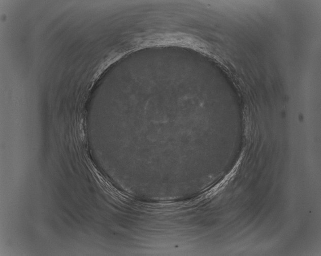 X0000078291497200611031218