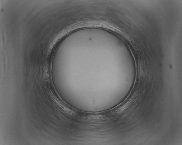 X0000078291498200611031218