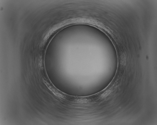 X0000078291499200611031218