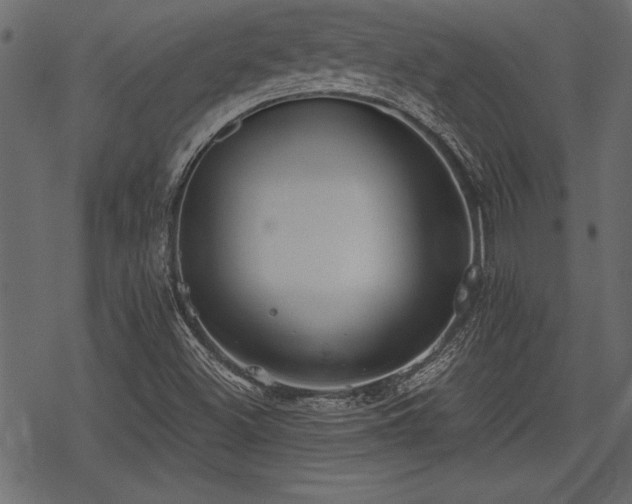 X0000078291500200611031218