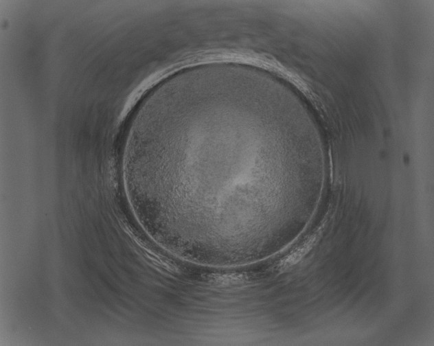 X0000078291501200611031218