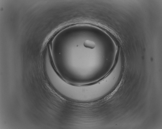 X0000078291502200611031218