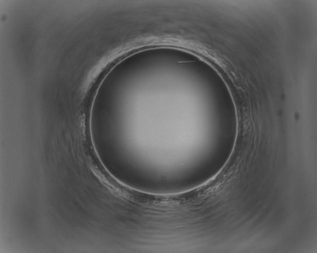 X0000078291503200611031218