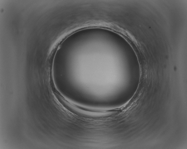 X0000078291504200611031218