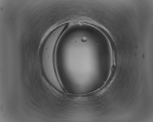 X0000078291506200611031218