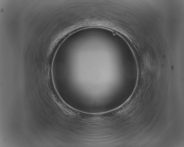 X0000078291507200611031218