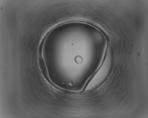 X0000078291508200611031218