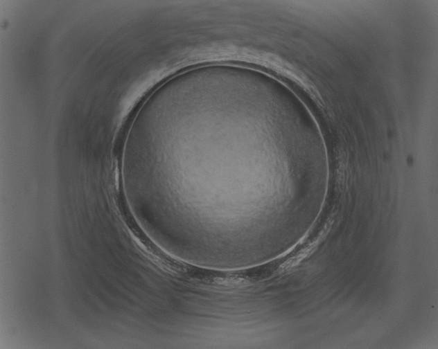 X0000078291509200611031218