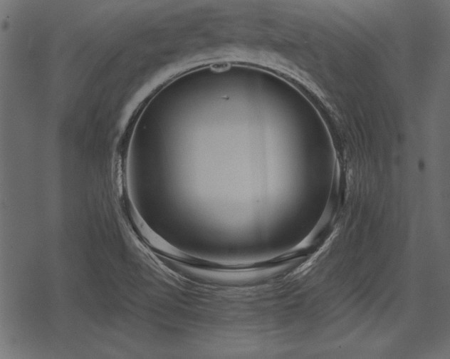 X0000078291510200611031218