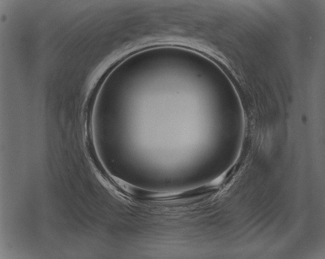 X0000078291511200611031218