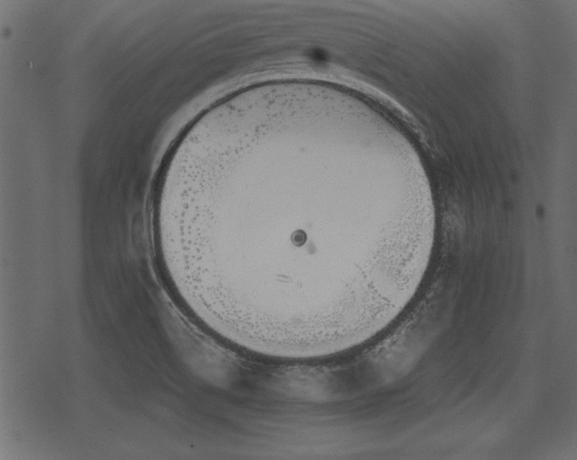 X0000078291514200611031219