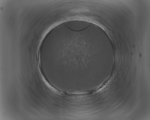 X0000078291515200611031219