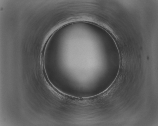 X0000078291516200611031219