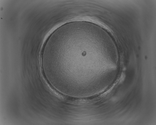 X0000078291517200611031219