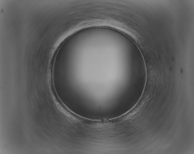 X0000078291518200611031219