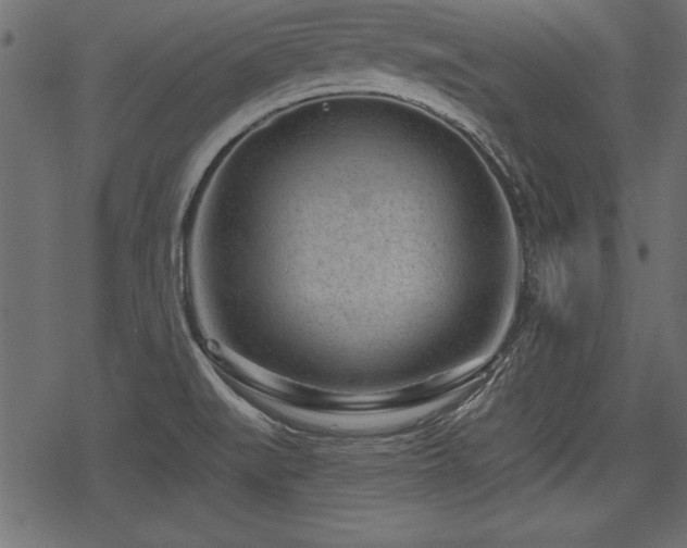 X0000078291519200611031219