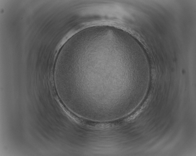 X0000078291521200611031219