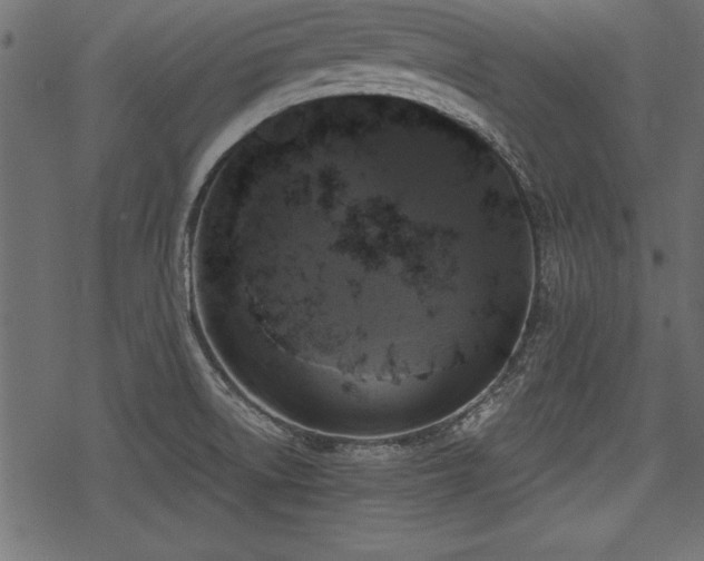 X0000078291522200611031219