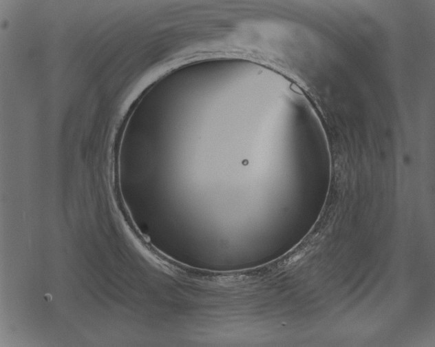 X0000078291523200611031219