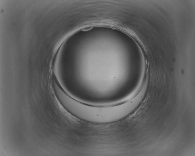 X0000078291524200611031219