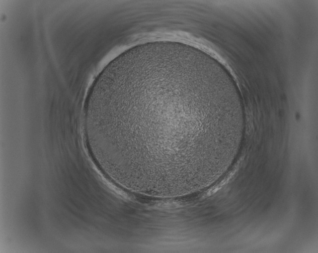 X0000078291525200611031219