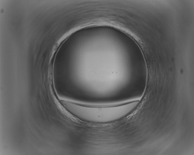 X0000078291526200611031219