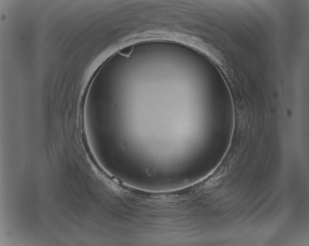 X0000078291527200611031219