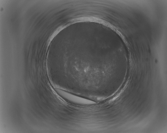 X0000078291529200611031219